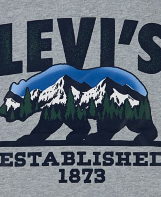 Boys' 8-20 Winter Bear Pullover Hoodie