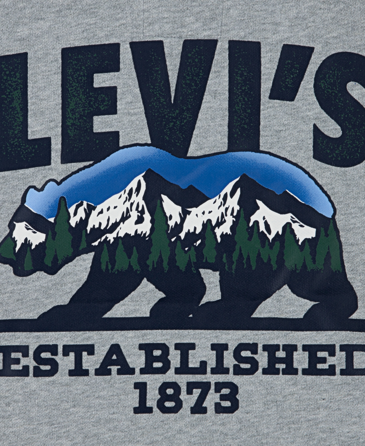 Levi's Boys 8-20 Winter Bear Pullover Hoodie In Gray