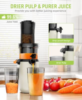 Juicer Machines, Cold Press Juicer, Powerful Slow Juicer with Pulp Seperation For Whole Fruits & Vegetables