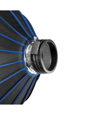 Switch Insert (Profoto Standard)