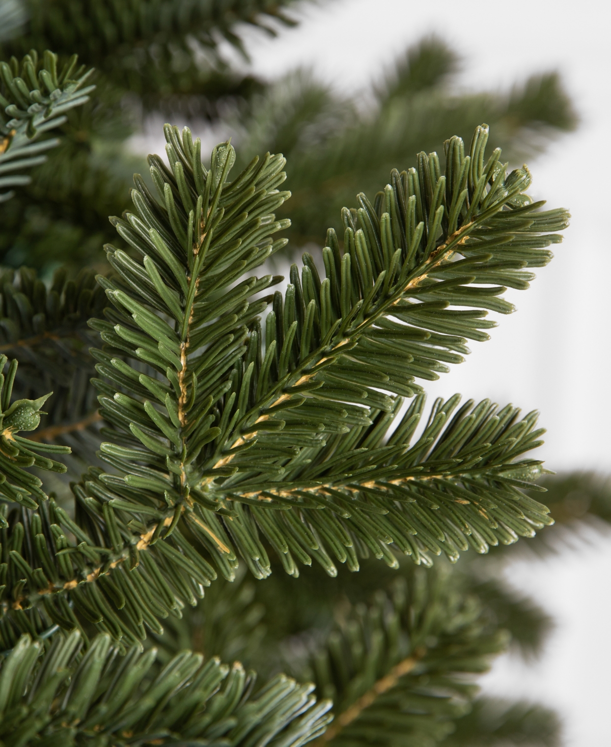 Balsam Hill 6.5' Pre-lit Fraser Fir Ledc Artificial Christmas Tree In Green