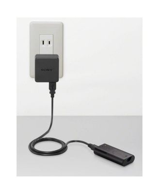 ACC-TRDCX Travel DC Charger Kit, with Sony NP-BX1 Battery and Charger