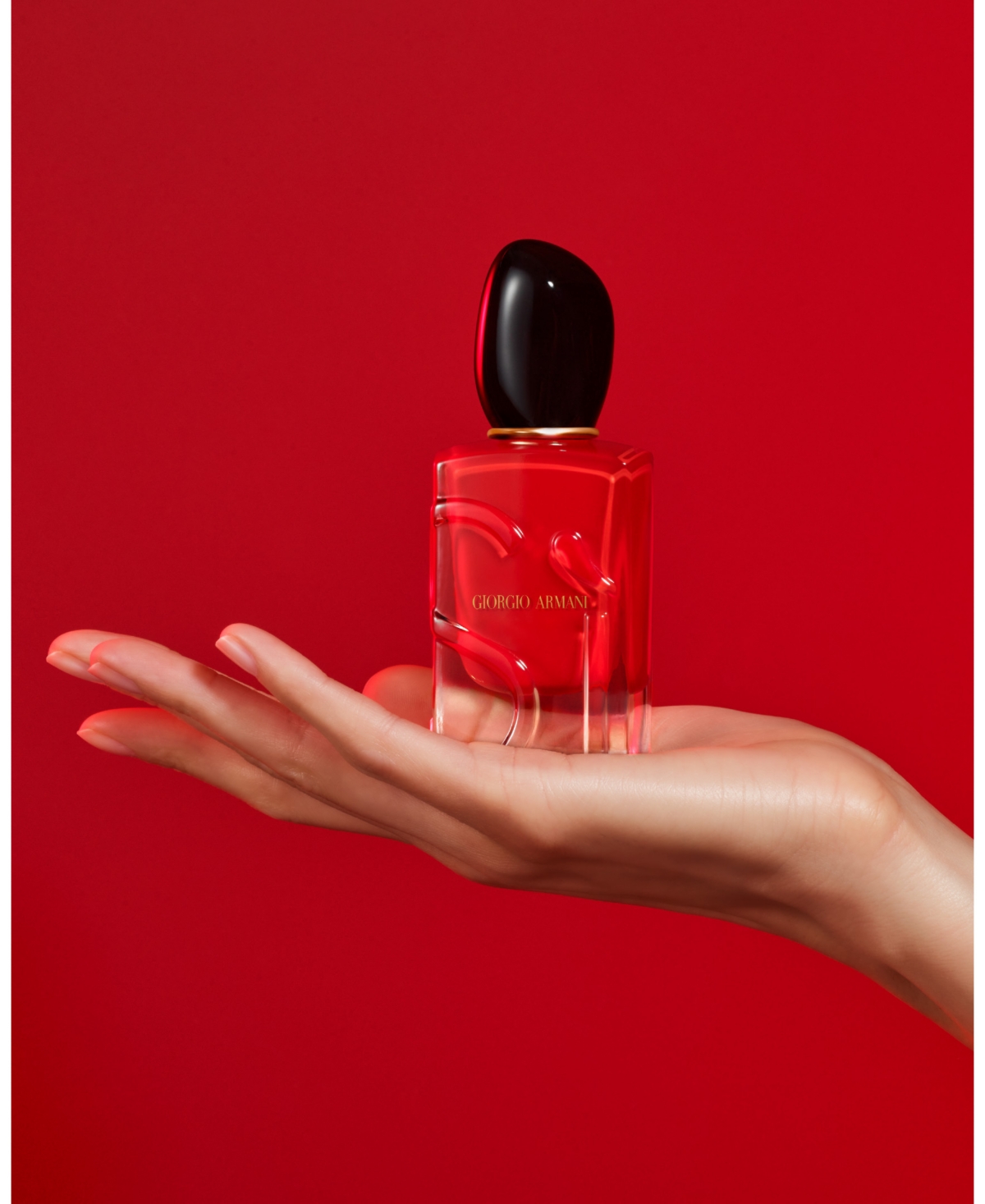 Armani Collezioni Giorgio Armani 3-pc. Si Eau De Parfum And Body Lotion Set In Transparent