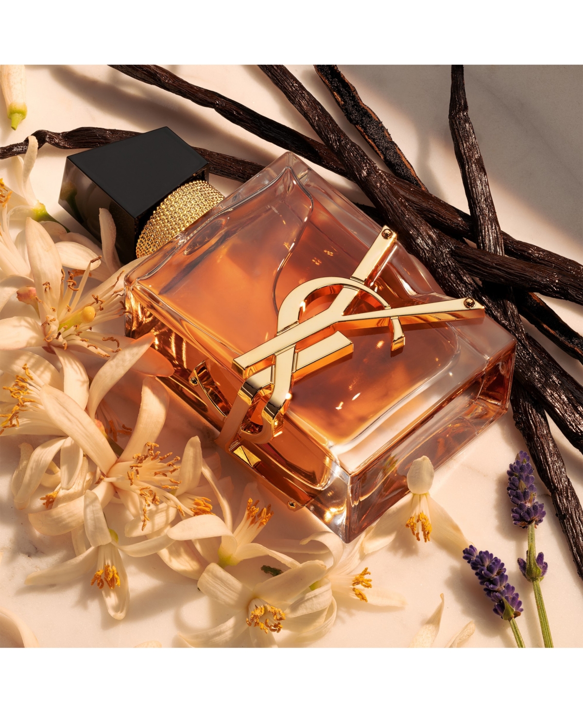 Saint Laurent Libre Eau De Parfum Intense Set In Transparent