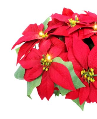 Puleo 24" Pre-Lit Artificial Red Poinsettia Window Box D&eacute;cor