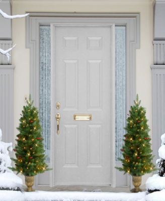 Puleo 3.5' Artificial Pre-Lit Potted Oregon Fir Tree