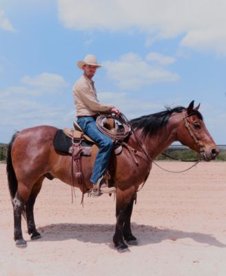 Men's 557 Western Straight Fit Boot Cut Jeans