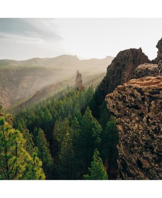 OM-5 Mark II Mirrorless Camera with M.Zuiko Digital ED 14-150mm f/4-5.6 II Lens