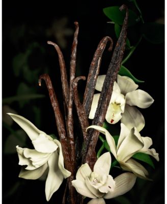 Babycat Le Vestiaire Eau De Parfum, 4.2 oz.