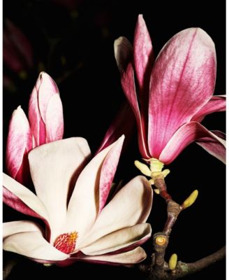 Jumpsuit Le Vestiaire Eau De Parfum, 4.2 oz.