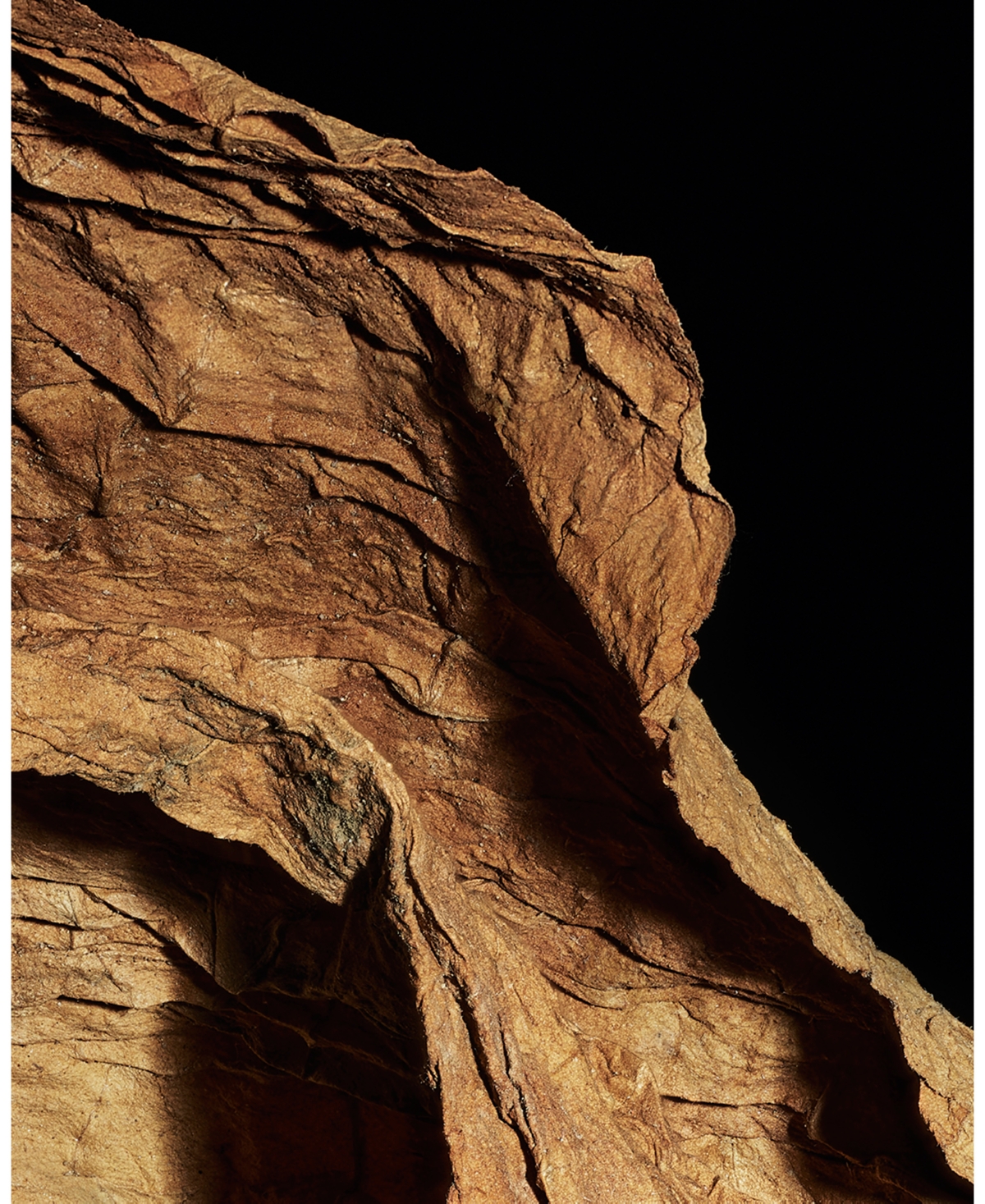 Saint Laurent New York 54 R25 Candle, 7.8 Oz. In Black