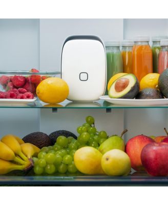 Shelfy Fridge Purifier Device