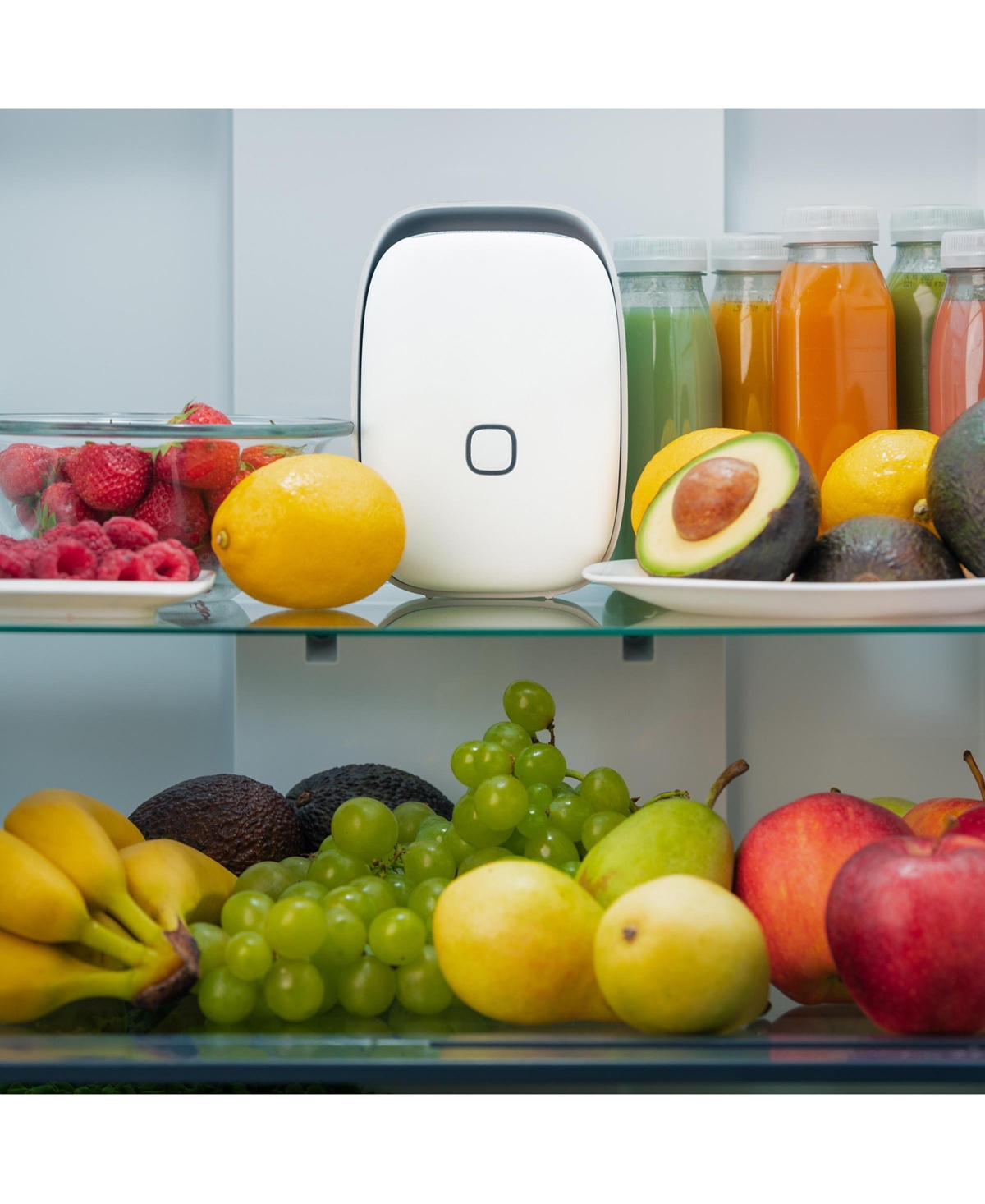 Vitesy Shelfy Fridge Purifier Device