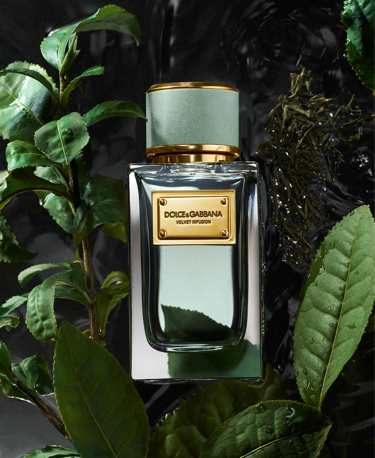 Dolce & Gabbana 3-pc. Velvet Collection Eau De Parfum Set, 0.33 Oz. In Transparent