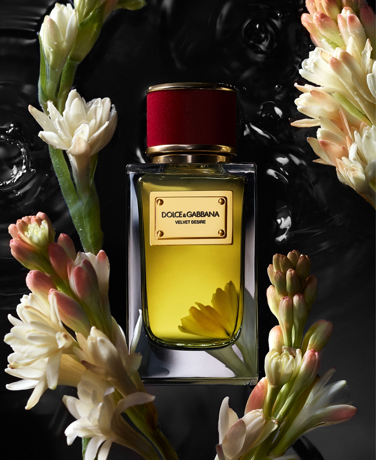 Dolce & Gabbana 7-pc. Velvet Collection Eau De Parfum Set, 0.068 Oz. In Transparent