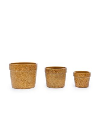 Chic Crate