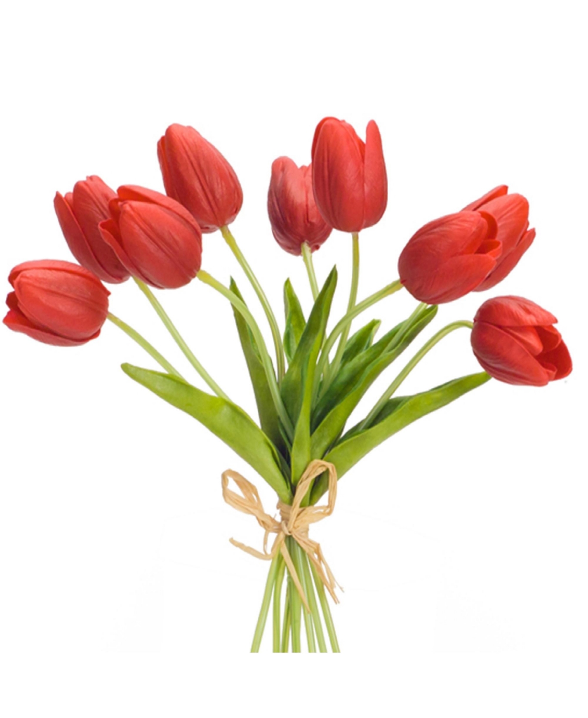 Exquisite Spring Tulip Bundle Set of 6 Freshly Cut Flowers in Vibrant Shades for Home Decor and Gifts