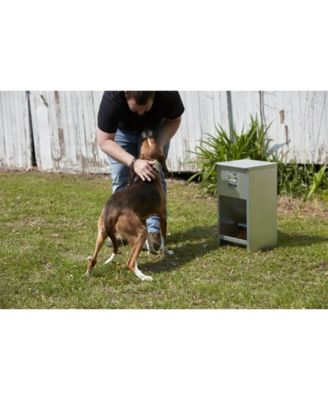 Dry Food Automatic Steel Dog Feeder Chow Hound 25 Pound Capacity