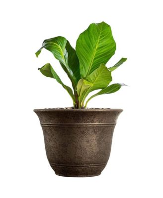 HC Companies 13-Inch Wide Sierra Planter Round Plastic Planter