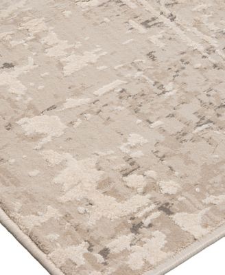 Alloy ALL343 5'x8' Area Rug