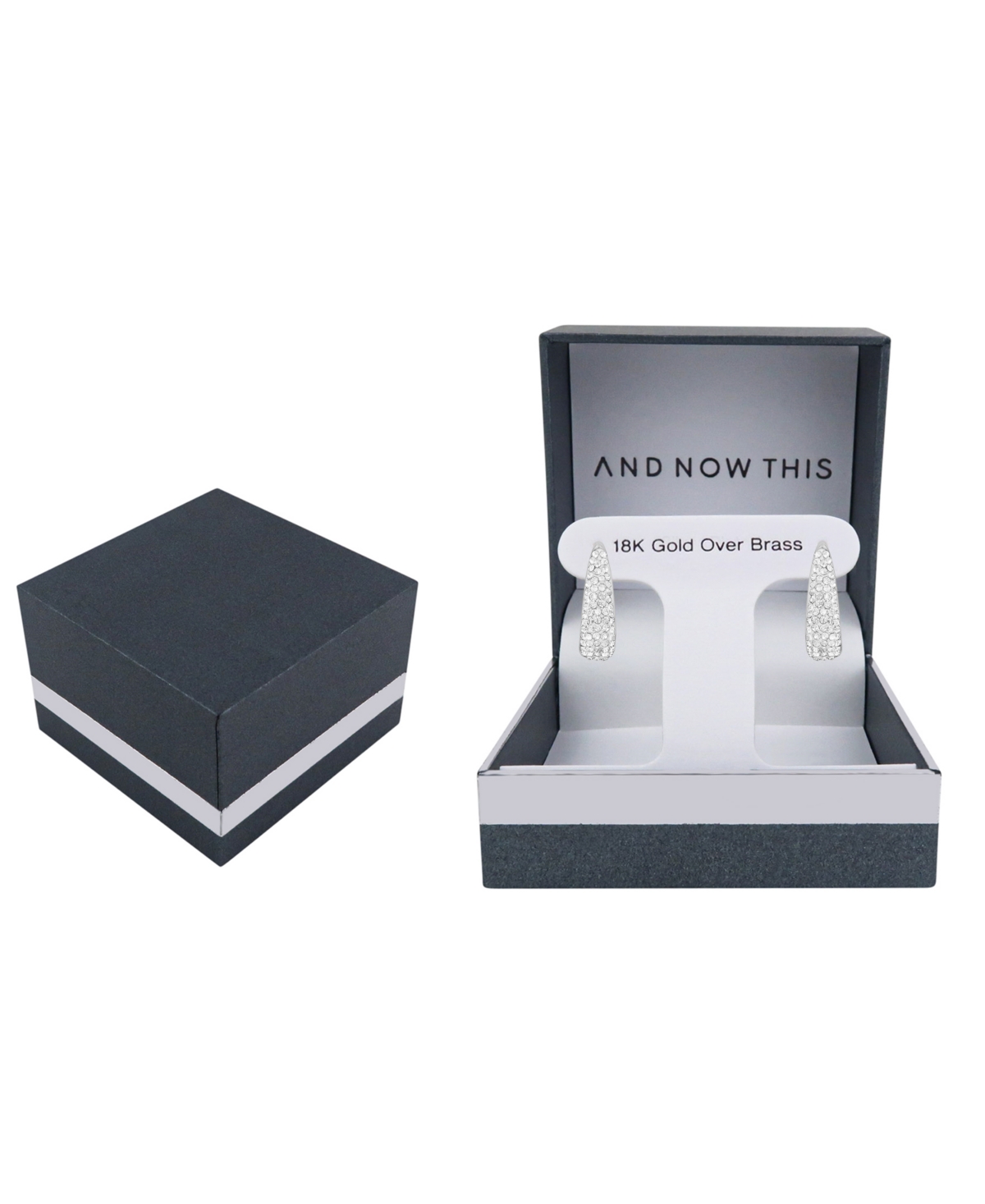 And Now This Crystal Hinge Hoop Earrings In Metallic