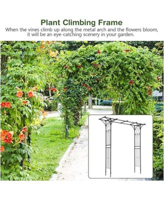 Outdoor Garden Arch Flowers Climbing Plants Trellis Metal Wedding Archway