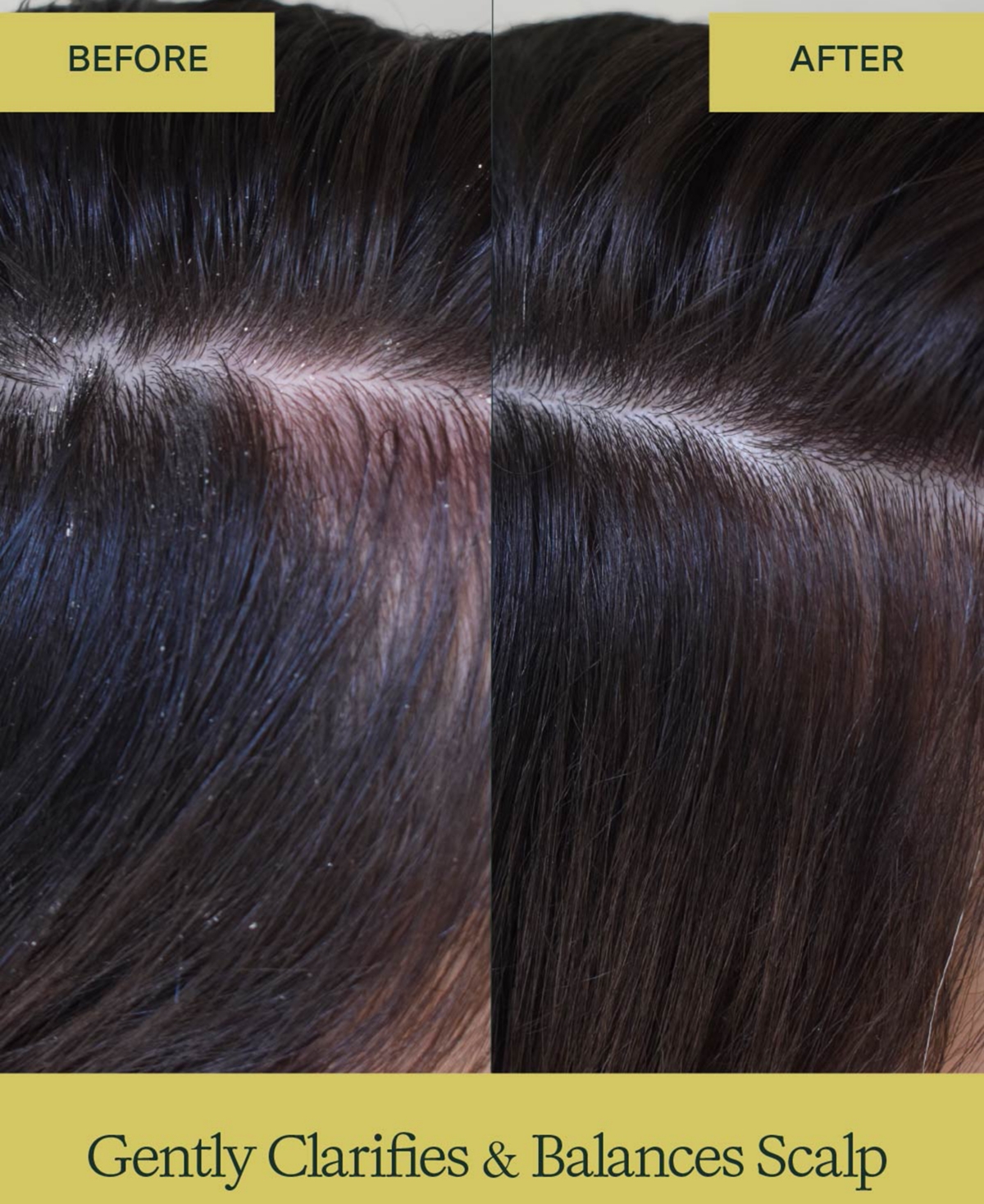 Rahua Aloe Vera Hair Hydrating Conditioner, 9.3 oz.