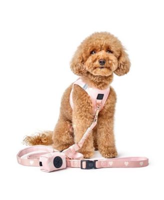 3-in-1 City Dog Leash