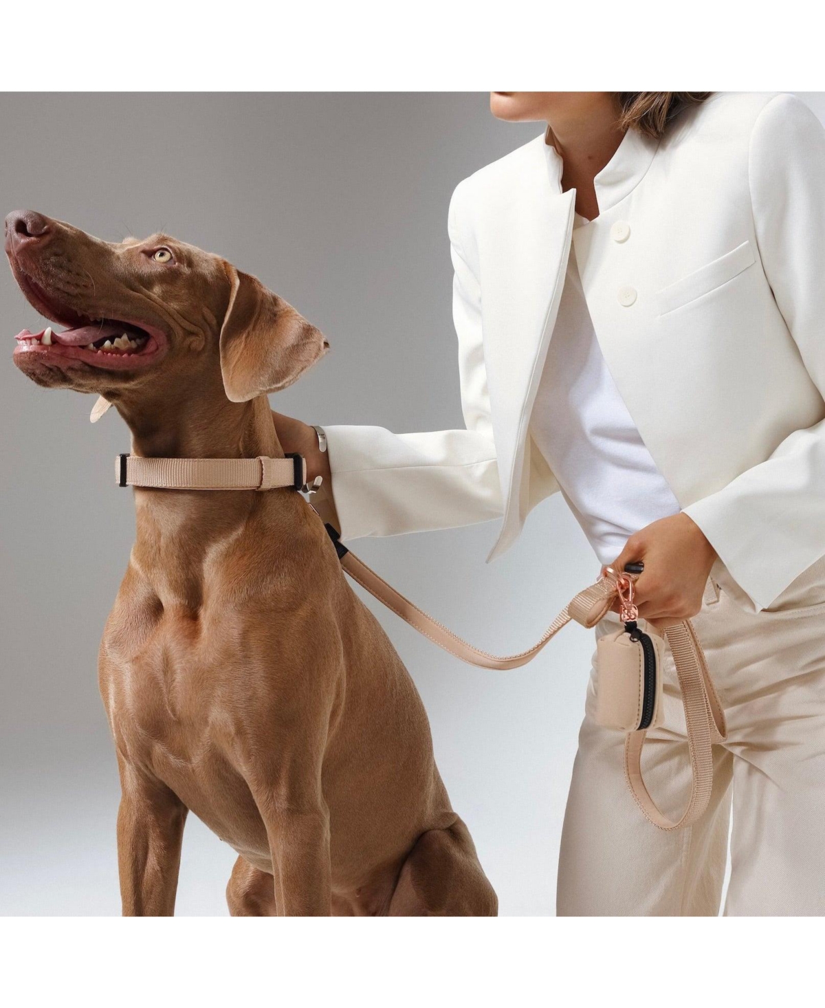 Dogistry 3-in-1 City Dog Leash