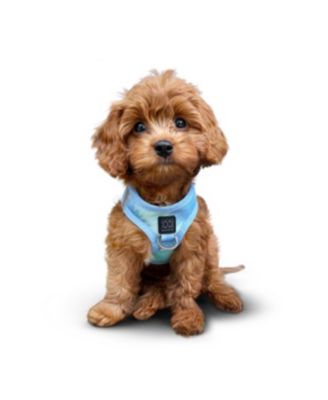 The AIR Harness - Ocean