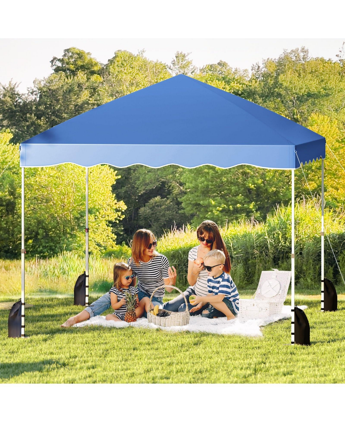 Foldable 10 X 10 Feet Pop up Canopy Tent with Wheeled Bag
