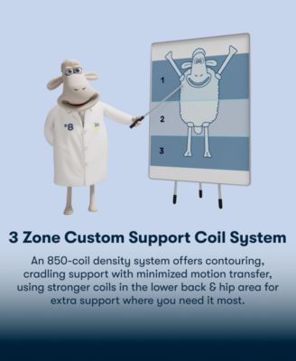 Perfect Sleeper Iceland Poppy 14" Plush Pillow Top Mattress, King