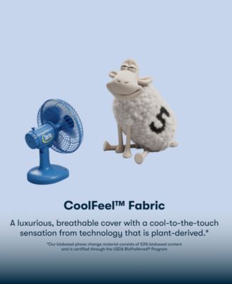 Perfect Sleeper Iceland Poppy 14" Plush Pillow Top Mattress Set, Twin