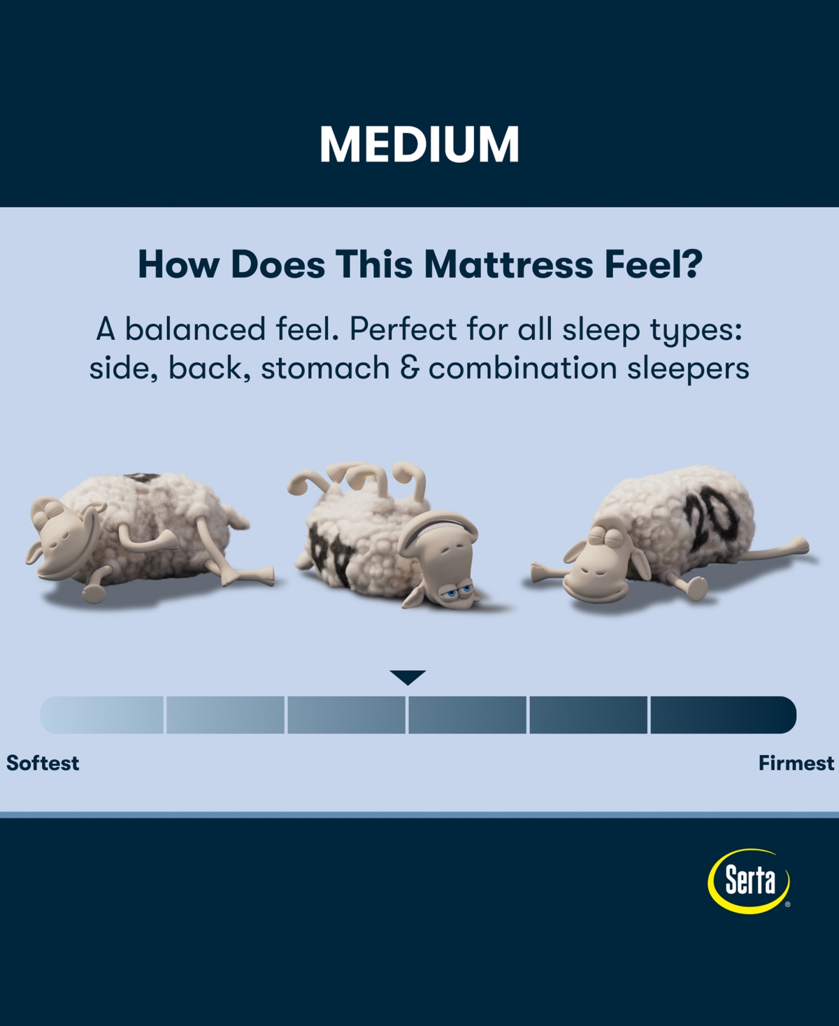 Serta Perfect Sleeper Lavender Falls 12" Medium Hybrid Tight Top Mattress Set, Twin In Transparent