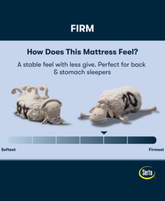 CLOSEOUT! Perfect Sleeper Tundra Valley 14" Firm Hybrid Tight Top Mattress Set, Twin