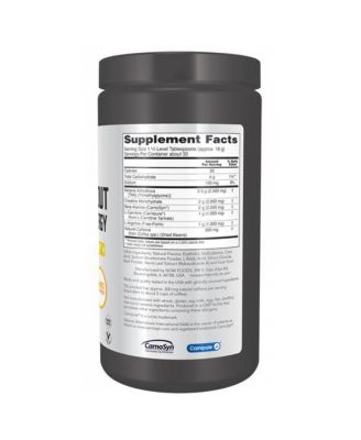 Pre-Workout Advanced Energy Powder, 600 Grams