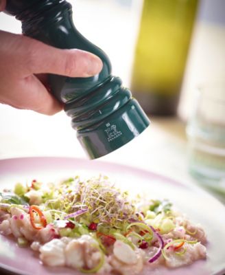 Paris u'Select Zirlion 7" Salt Mill