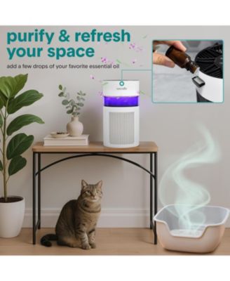 Portable Air Purifier