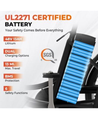 Adult Cargo Electric Trike, 24" 3-Wheel Bike with Removable 48V/13Ah Battery, Front & Rear Basket