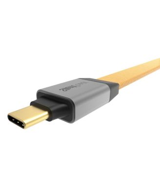 Pulsar Isolated USB-C Cable with Actie Noise Cancellation