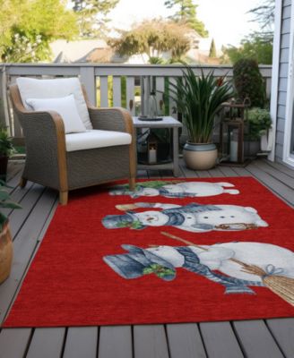 Holiday Washable Indoor/Outdoor ACN1826 10'x14' Area Rug