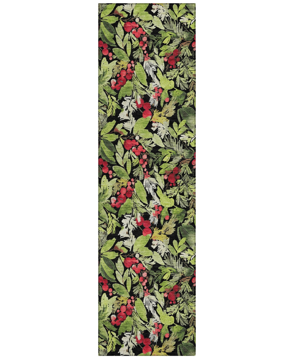 Addison Holiday Washable Indoor/Outdoor ACN1816 2'3"x7'6" Runner Area Rug