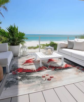 Holiday Washable Indoor/Outdoor ACN1808 2'6"x3'10" Area Rug