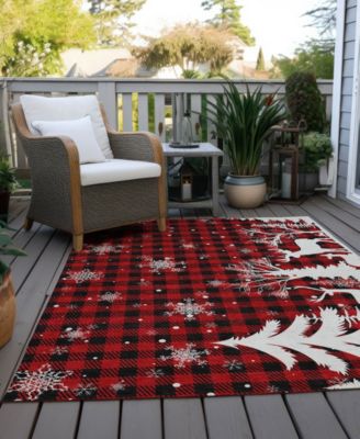 Holiday Washable Indoor/Outdoor ACN1824 8'x10' Area Rug