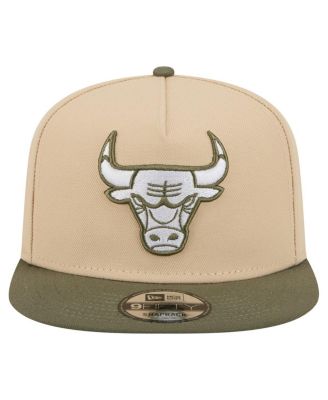 Men's Khaki/Olive Chicago Bulls Color Pack Two-Tone A-Frame 9FIFTY Snapback Hat