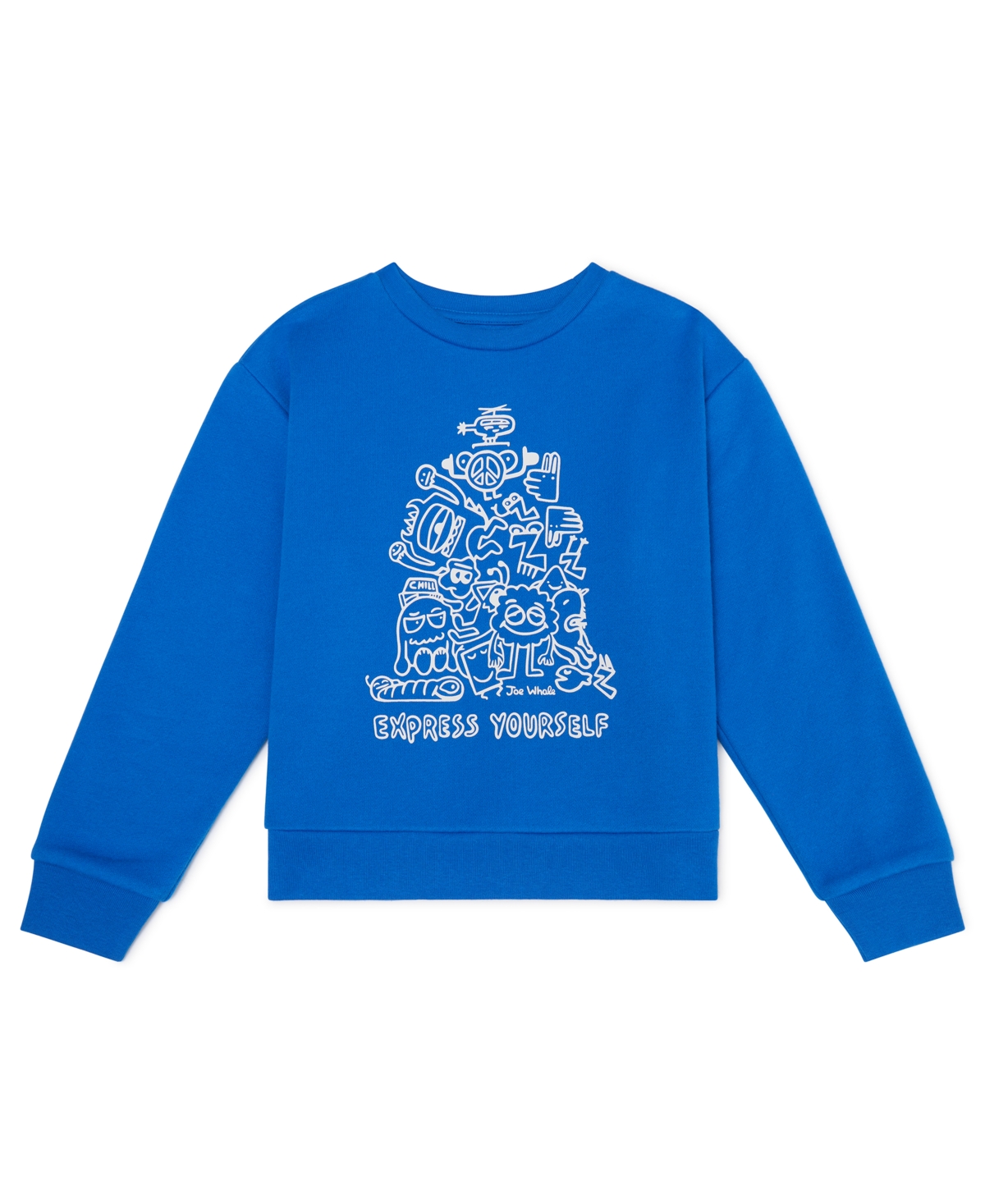 Color Lab Boys 2t-7 Pull-on Long Sleeve Sweatshirt In Blue