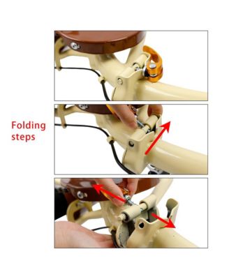 Tricycle for Ladies and Teens with Oversized Front Basket for Pets and Picnic Gear