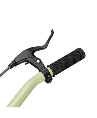 Tricycle for Ladies and Teens with Oversized Front Basket for Pets and Picnic Gear