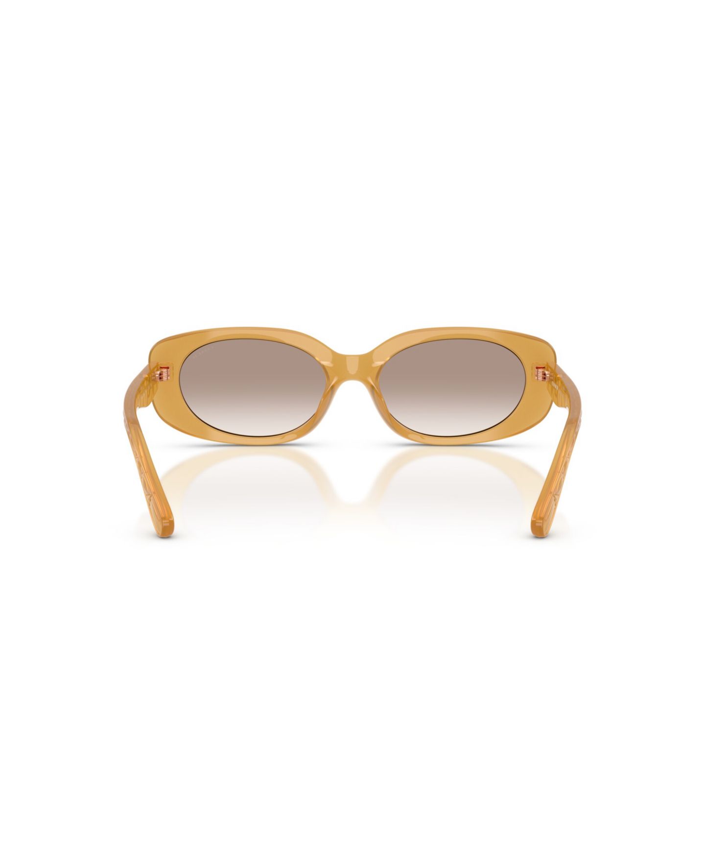 Женские солнцезащитные очки COACH Oval Sunglasses, CBY84 HC8443D, цвет: Чёрный — фото 19