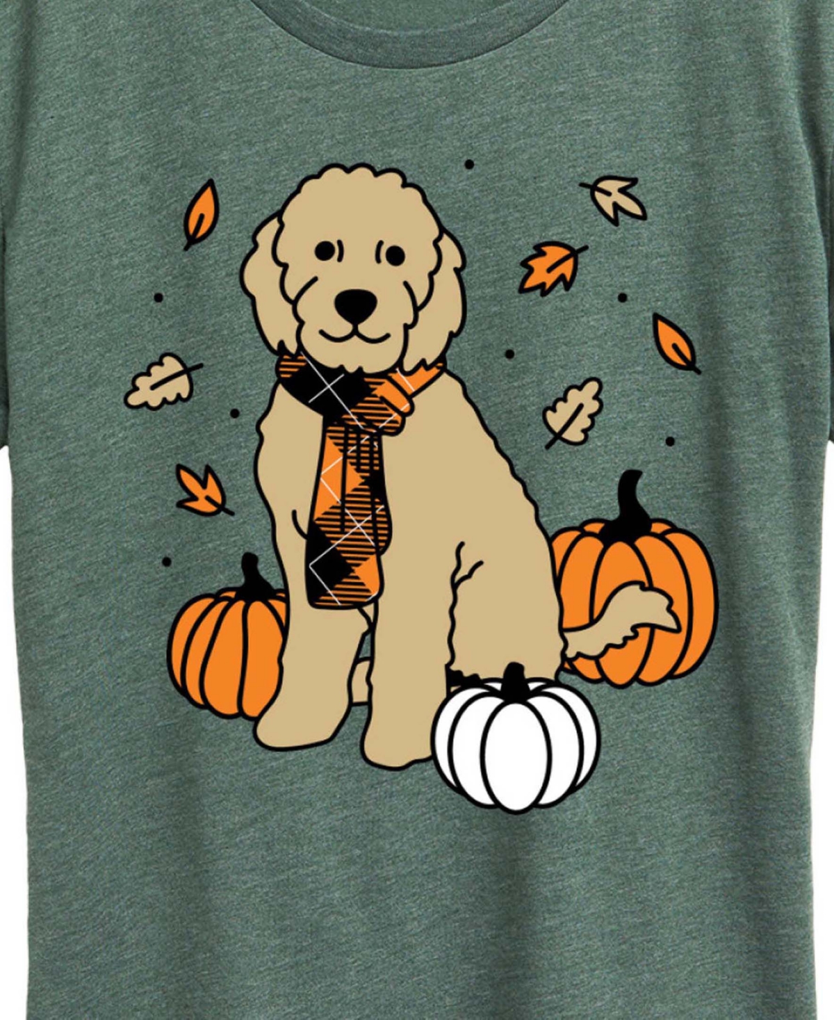 Hybrid Apparel Plus SizeGoldendoodle Women's Short Sleeve Graphic T-shirts